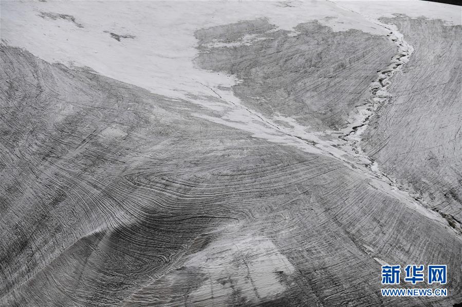 （图文互动）（6）天山一号冰川保护区成为野生动物天堂