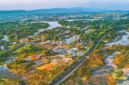 科学规划、全域治水，重庆梁平区—— 荇菜参差 湿地润城