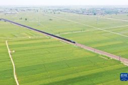 河南延津：麥田管護保豐收