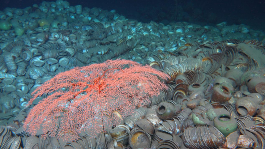 南海西北陸坡沉船遺址第一階段調查：最新海底畫面來了！